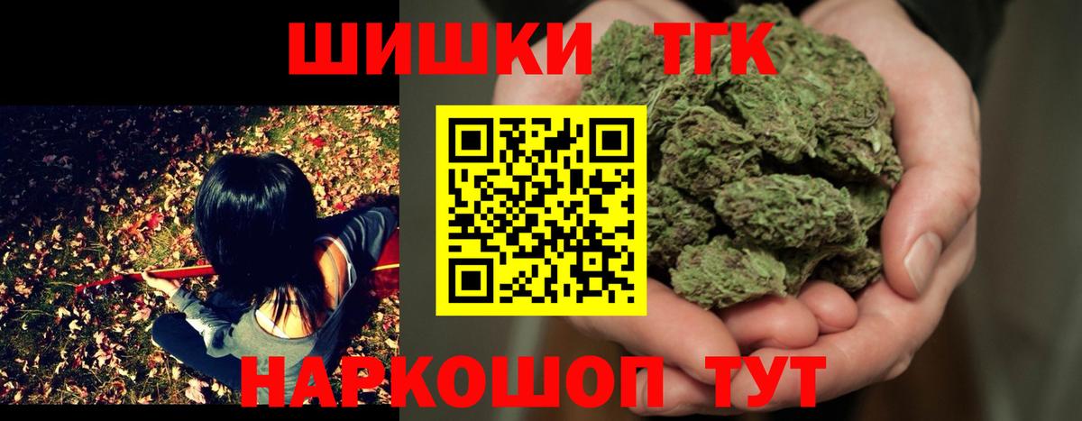 ГАШ Муром
